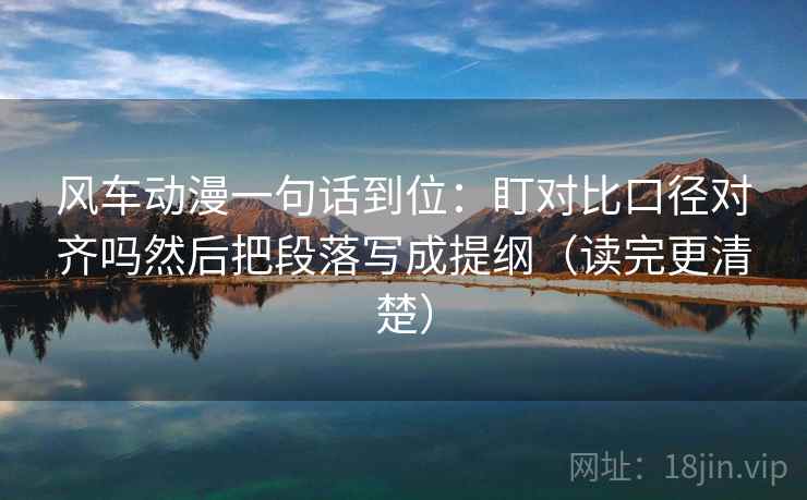 风车动漫一句话到位：盯对比口径对齐吗然后把段落写成提纲（读完更清楚）